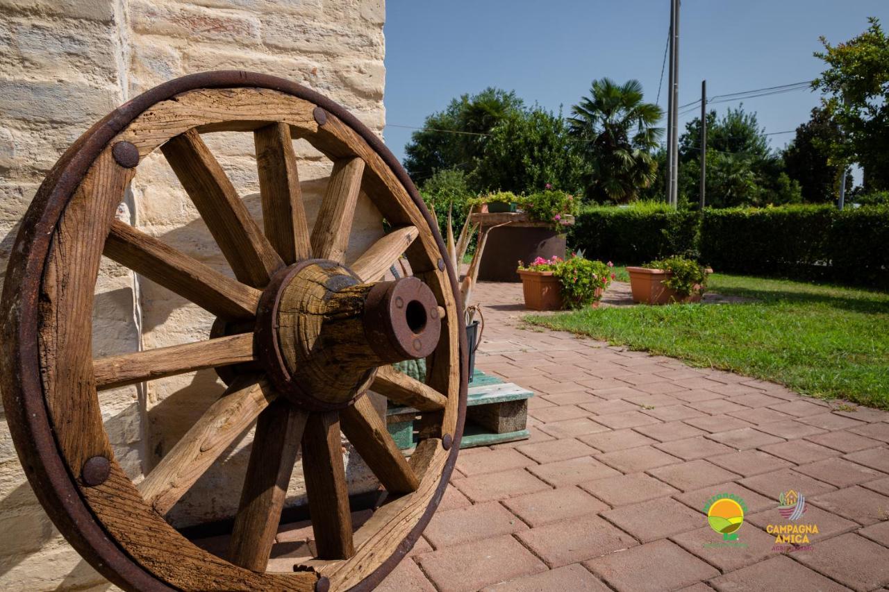 Agriturismo Colombera Quarto d'Altino Exterior photo