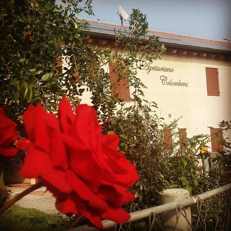 Agriturismo Colombera Quarto d'Altino Exterior photo